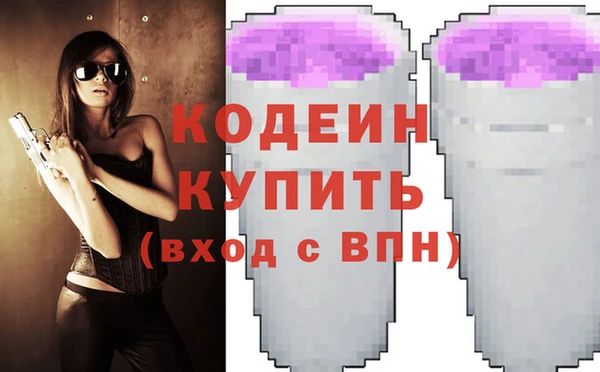 индика Вязьма